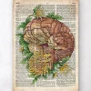 Gehirn mit Blumen - Alte Wörterbuch | Codex Anatomicus Discount