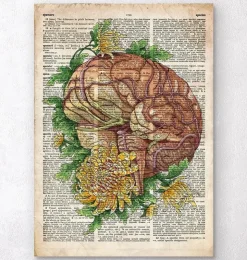 Gehirn mit Blumen - Alte Wörterbuch | Codex Anatomicus Discount