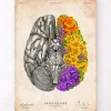 Gehirn mit Blumen - Altes Papier | Codex Anatomicus Fashion