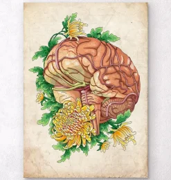 Gehirn mit Blumen - Altes Papier | Codex Anatomicus Clearance