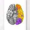 Gehirn mit Blumen - Weiß | Codex Anatomicus Fashion