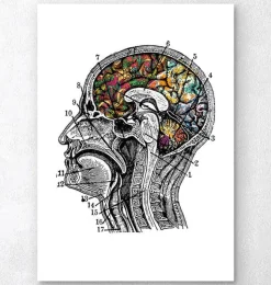 Gehirn mit Blumen - Weiß | Codex Anatomicus Outlet