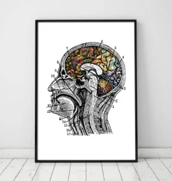 Gehirn mit Blumen - Weiß | Codex Anatomicus Outlet