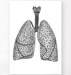 Geometrische Lungen | Codex Anatomicus Online