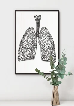 Geometrische Lungen | Codex Anatomicus Online