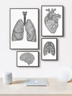 Geometrische Lungen | Codex Anatomicus Online