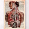 Geometrische menschliche Anatomie - Altes Wörterbuch | Codex Anatomicus New