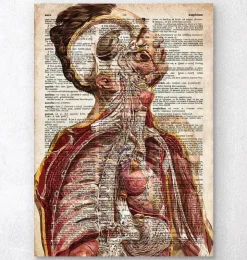 Geometrische menschliche Anatomie II - Altes Wörterbuch | Codex Anatomicus Hot