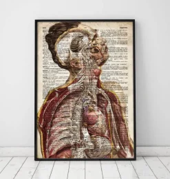 Geometrische menschliche Anatomie II - Altes Wörterbuch | Codex Anatomicus Hot