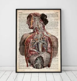 Geometrische menschliche Anatomie - Altes Wörterbuch | Codex Anatomicus New