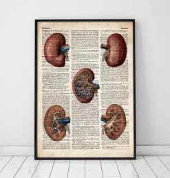 Geometrische Niere - Altes Wörterbuch | Codex Anatomicus Fashion