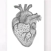Geometrisches Herz | Codex Anatomicus Hot