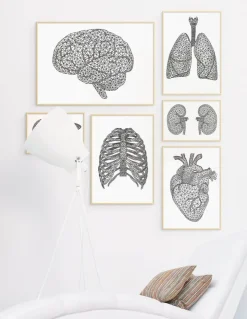 Geometrisches Herz | Codex Anatomicus Hot
