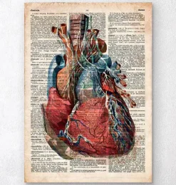 Geometrisches Herz II - Altes Wörterbuch | Codex Anatomicus Hot