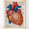 Geometrisches Herz III - Altes Wörterbuch | Codex Anatomicus Sale