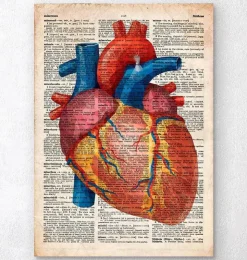 Geometrisches Herz III - Altes Wörterbuch | Codex Anatomicus Sale