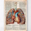Geometrisches Herz und Lunge - Altes Wörterbuch | Codex Anatomicus Discount