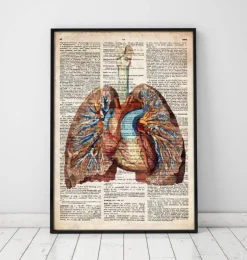 Geometrisches Herz und Lunge - Altes Wörterbuch | Codex Anatomicus Discount