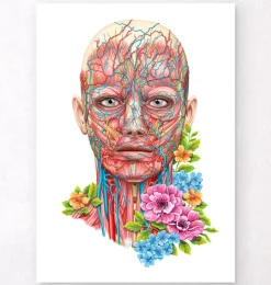 Gesichts Anatomie - Floral - Weiß | Codex Anatomicus Discount