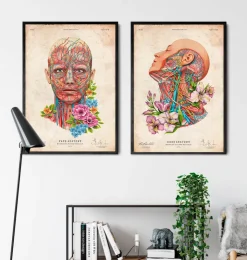 Gesichts Anatomie - Floral - Vintage | Codex Anatomicus Best
