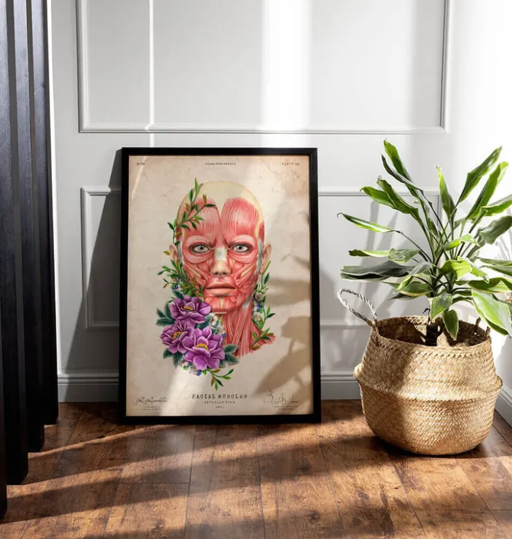 Gesichtsmuskeln Anatomie II - Floral - Vintage | Codex Anatomicus Outlet