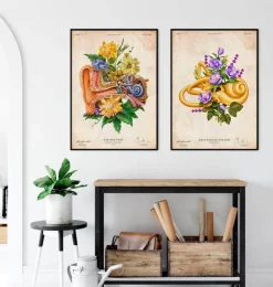 Gleichgewichtsorgan - Floral - Vintage | Codex Anatomicus Sale