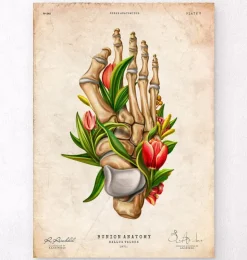 Hallux valgus - Floral - Vintage | Codex Anatomicus Clearance