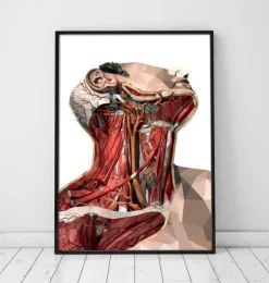 Hals Anatomie - Geometrisch | Codex Anatomicus Discount