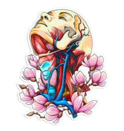 Hals Anatomie Aufkleber - Floral | Codex Anatomicus Clearance