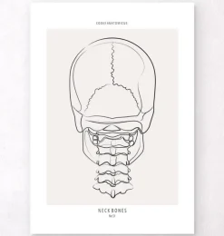 Halsknochen - Line-Art | Codex Anatomicus Fashion