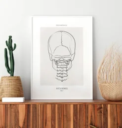 Halsknochen - Line-Art | Codex Anatomicus Fashion