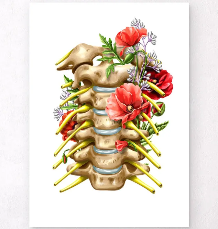 Halsnerven - Floral - Weiß | Codex Anatomicus Sale
