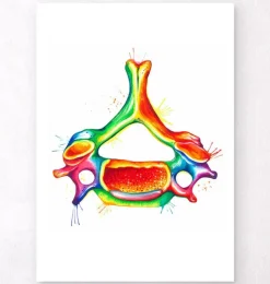 Halswirbel Anatomie - Aquarell | Codex Anatomicus New