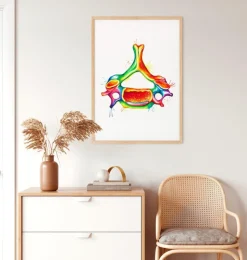 Halswirbel Anatomie - Aquarell | Codex Anatomicus New