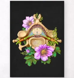 Halswirbel Anatomie - Floral - Schwarz | Codex Anatomicus Fashion