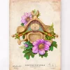 Halswirbel Anatomie - Floral - Vintage | Codex Anatomicus Hot