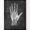 Hand Anatomie - Chalkboard | Codex Anatomicus New
