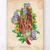 Hand Anatomie - Dunkle Haut | Codex Anatomicus Outlet