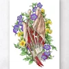 Hand anatomie - Weiß | Codex Anatomicus Sale
