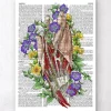 Hand Anatomie - Wörterbuch | Codex Anatomicus Discount