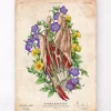 Hand anatomie kunst | Codex Anatomicus Outlet