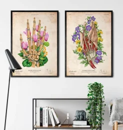 Hand anatomie kunst | Codex Anatomicus Outlet