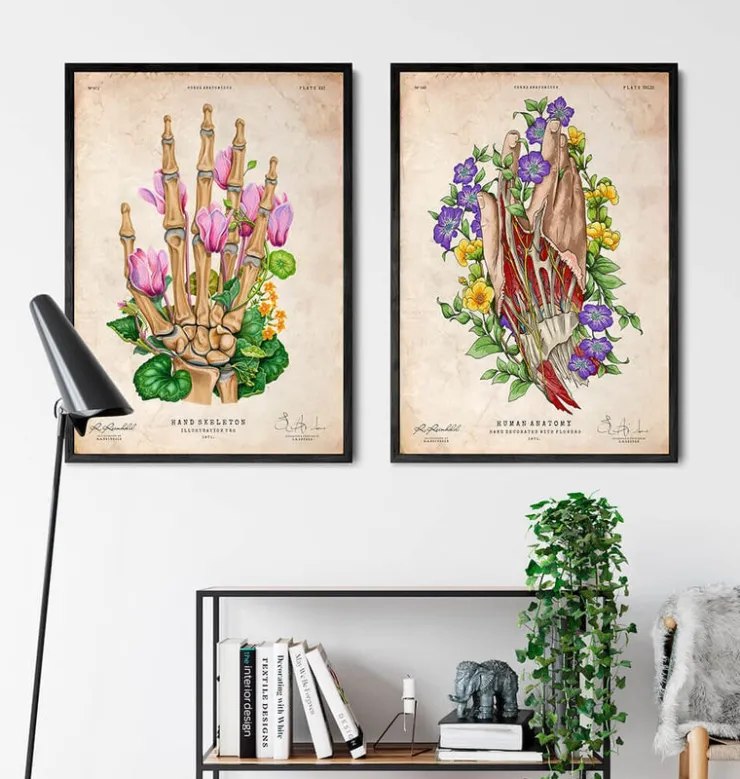 Hand anatomie kunst | Codex Anatomicus Outlet