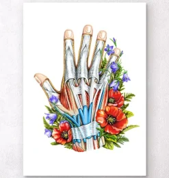Hand Anatomie Kunst - Schwarz | Codex Anatomicus Hot