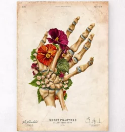 Handgelenkbruch - Floral - Vintage | Codex Anatomicus Hot