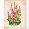 Handknochen - Floral - Vintage | Codex Anatomicus Best