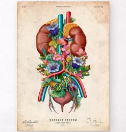 Harnsystem - Floral - Vintage | Codex Anatomicus New