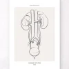 Harnsystems Anatomie - Line-Art | Codex Anatomicus Hot