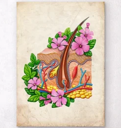 Hautanatomie - Floral - Altes Papier | Codex Anatomicus New