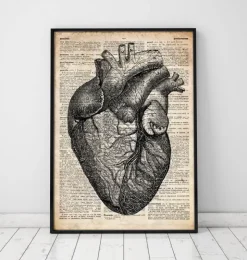 Herz Anatomie - Altes Wörterbuch | Codex Anatomicus Online